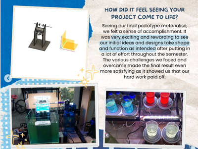 DCHE Vertical Microalgae Cultivator