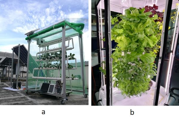 net-zero-renewable-energy-vertical-farming