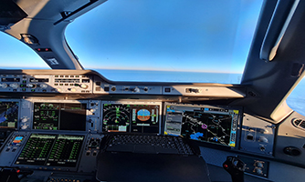 flight-simulator