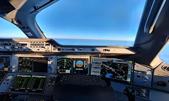 flight-simulator