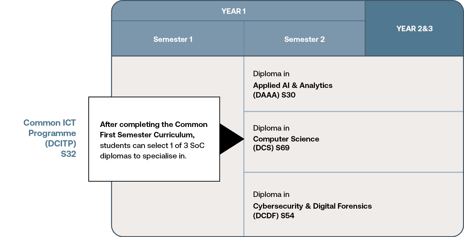 DCITP Curriculum