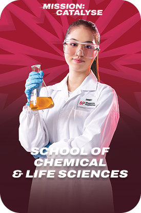 FA_241112_School&Courses_CLS