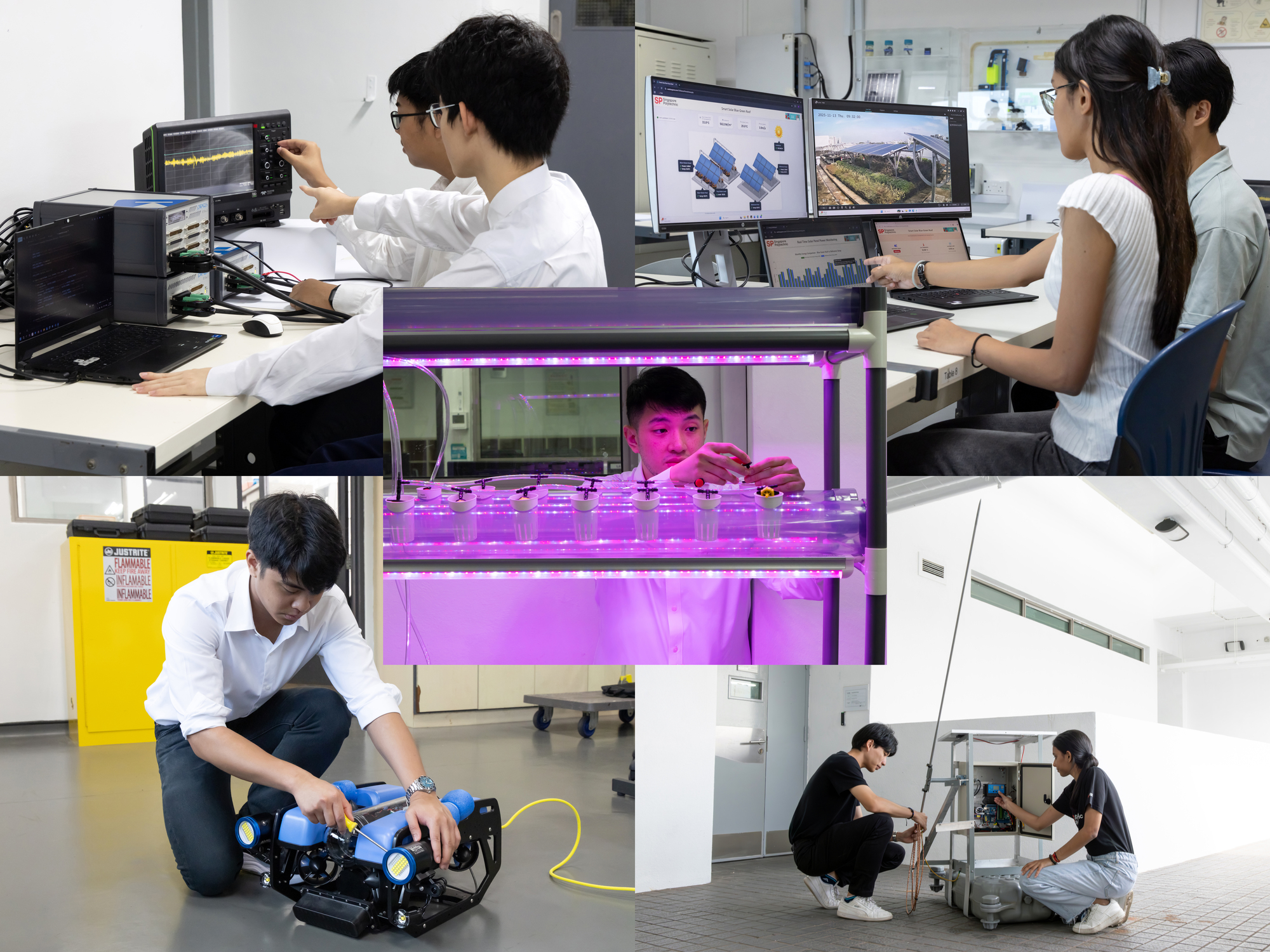 Unlocking the Skincare Potential of Soursop Seed Oil