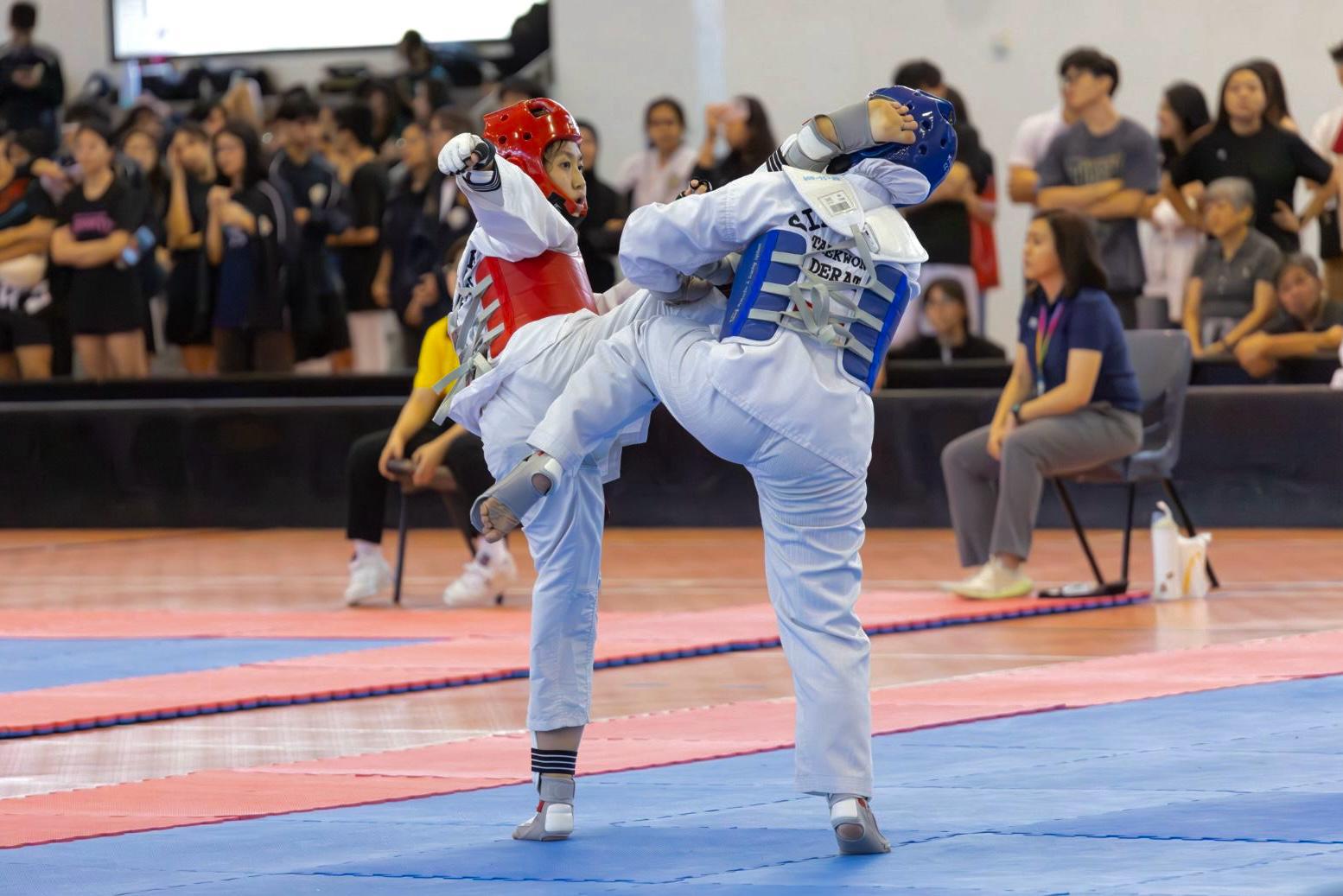 SP TKD photo for SP website