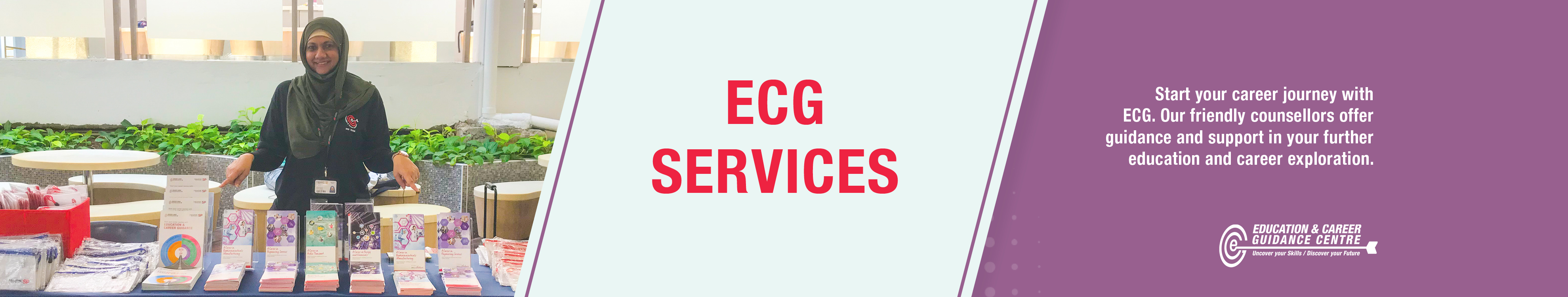 ECG website banner