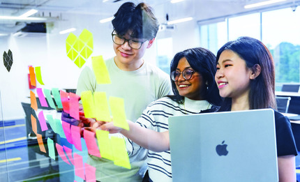 CFEF2026 - Work Study Programme