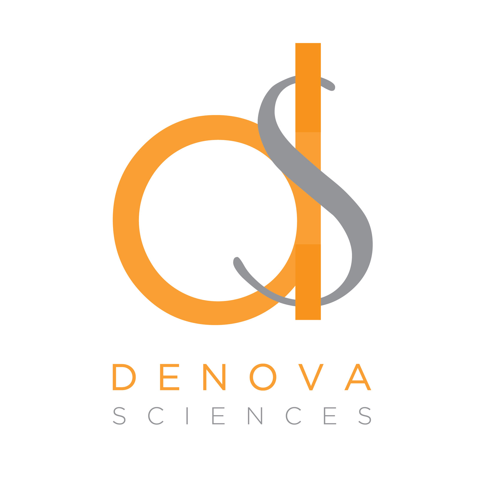 DS-Logo2